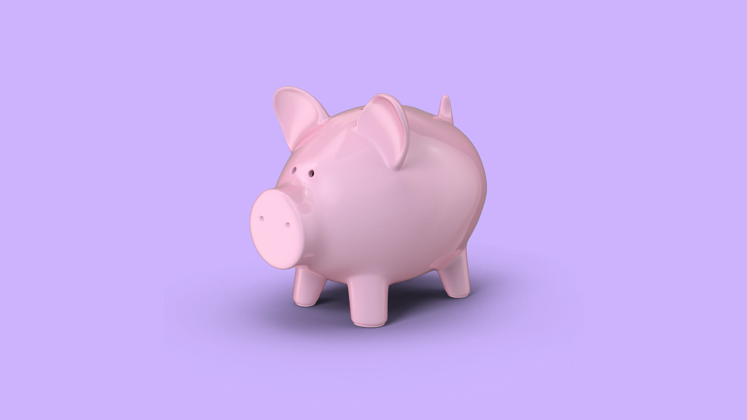 piggy bank budget